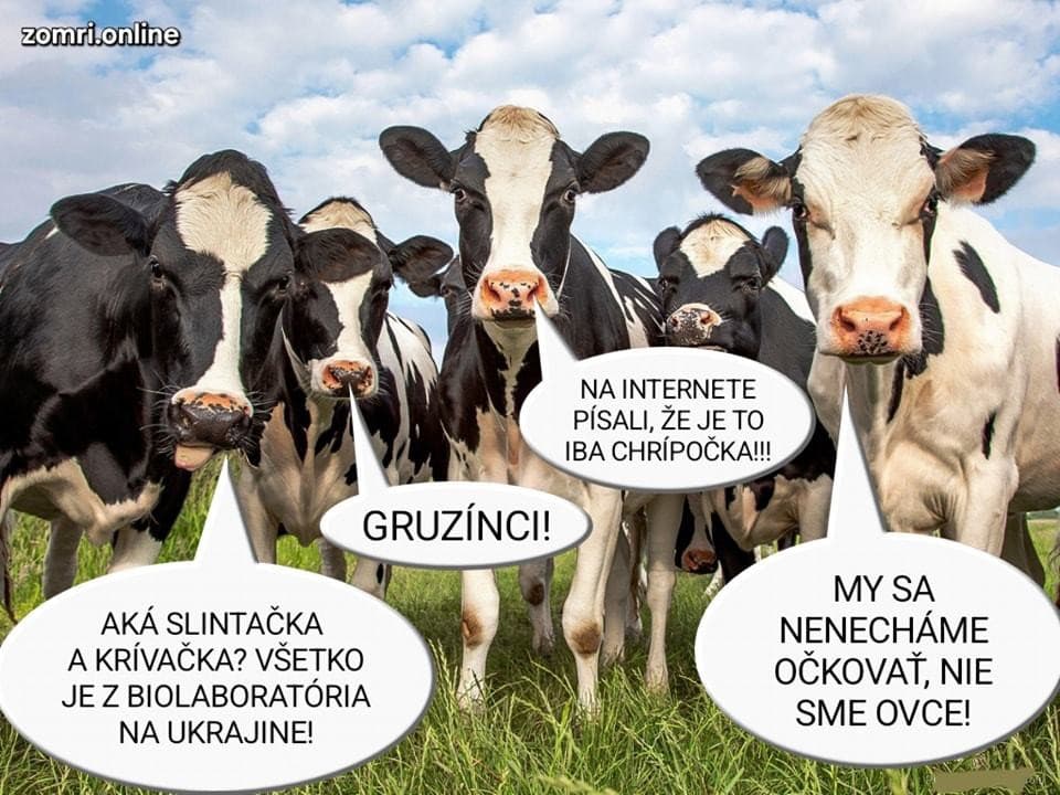 Humor Slovákov neopúšťa ani
