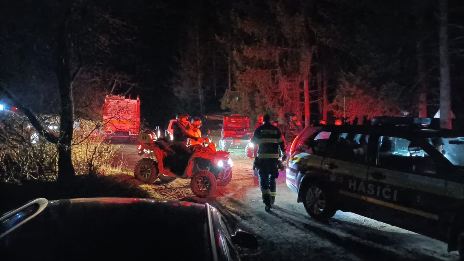 Tragické DETAILY útoku medveďa