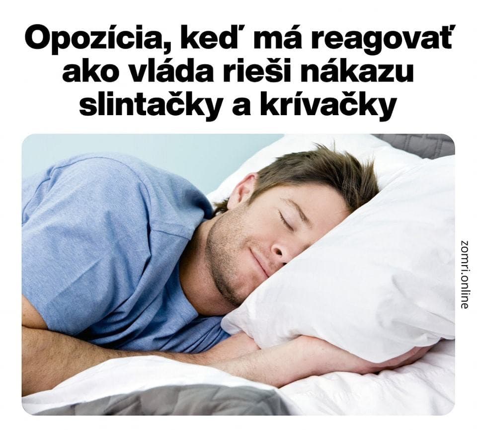 Satirická internetová scéna vôbec