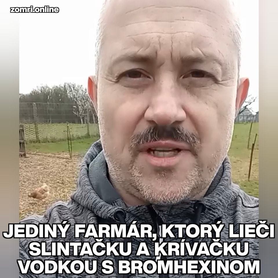 Satirická internetová scéna vôbec