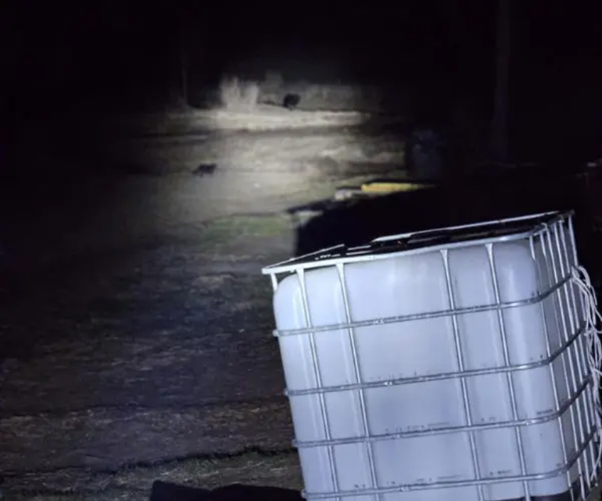 MIMORIADNE V blízkosti rodinných