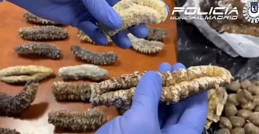 Polícia našla v reštaurácii úplné nechutnosti.