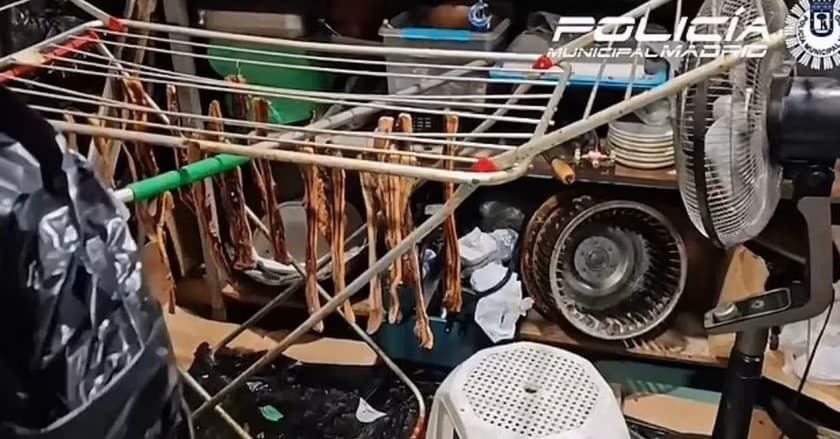 Polícia našla v reštaurácii úplné nechutnosti.