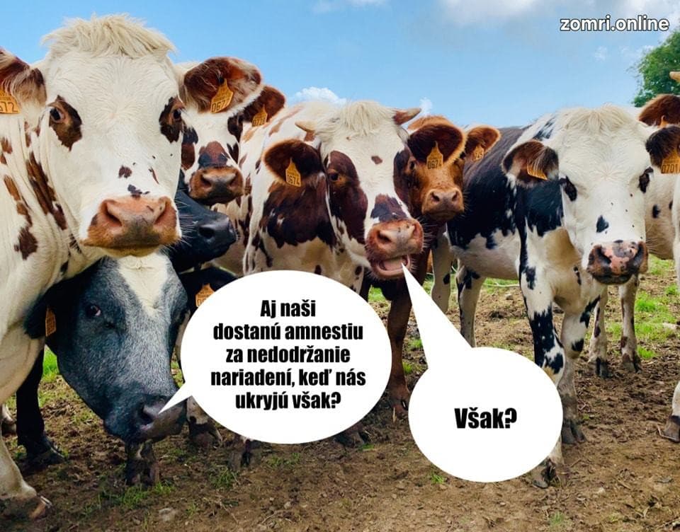 Slováci pozerajú na transakčnú