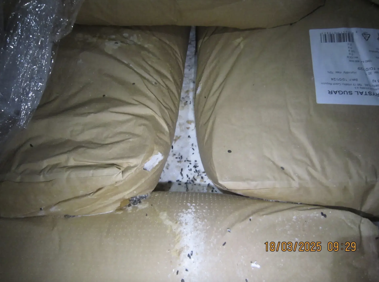 Hororové FOTO z kontrol