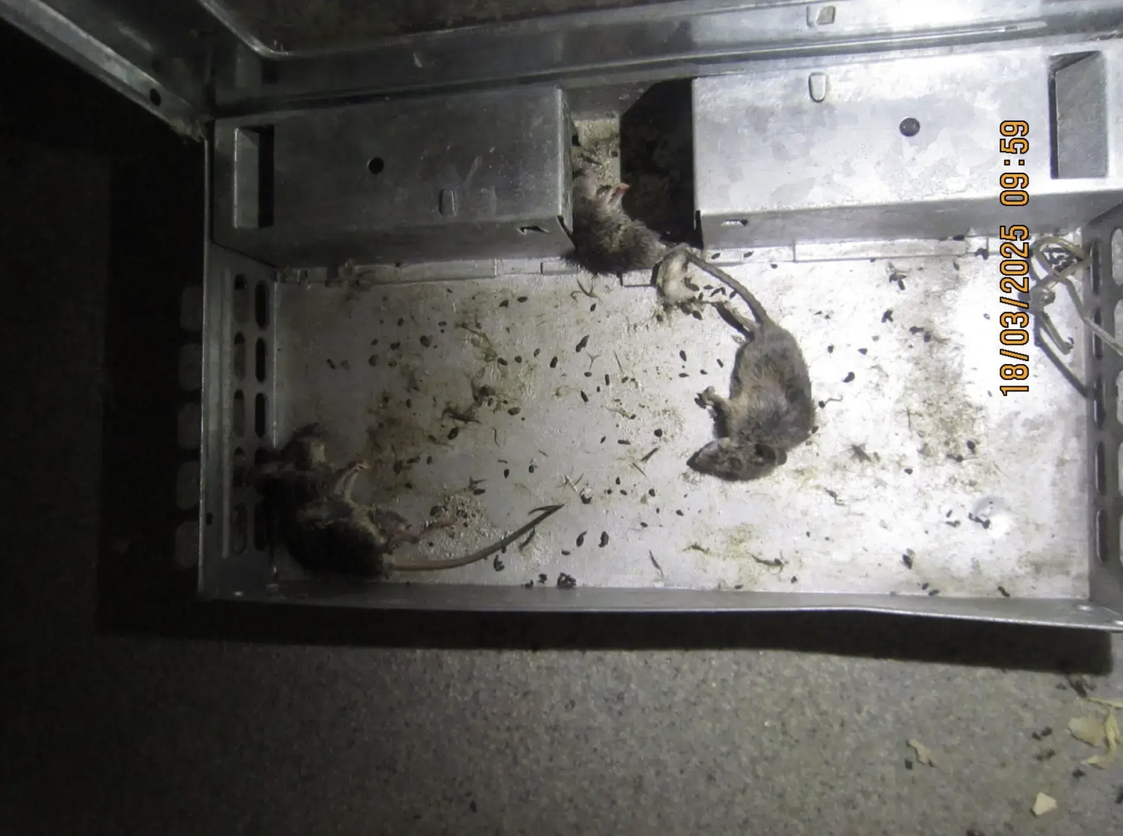 Hororové FOTO z kontrol