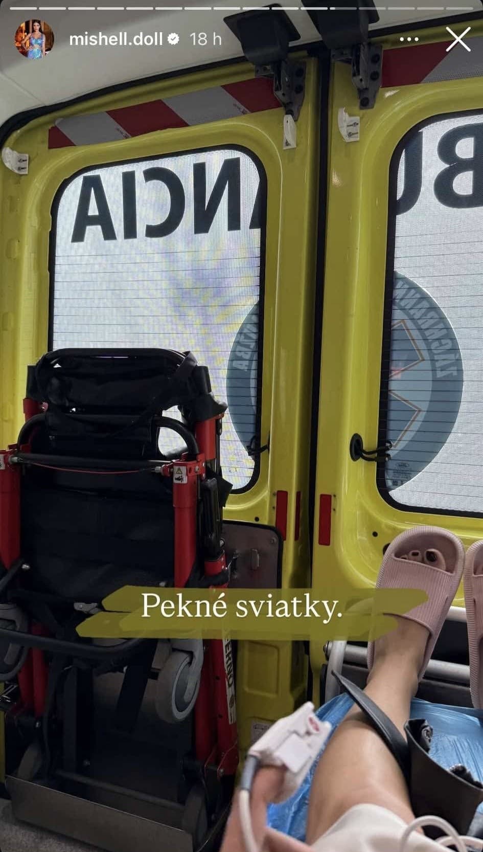 Miška z Ruže obeťou
