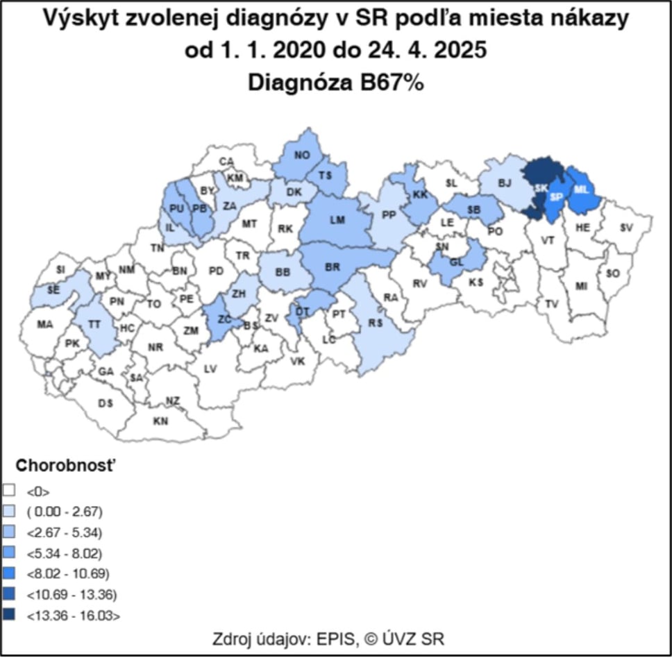 V lesoch aj na