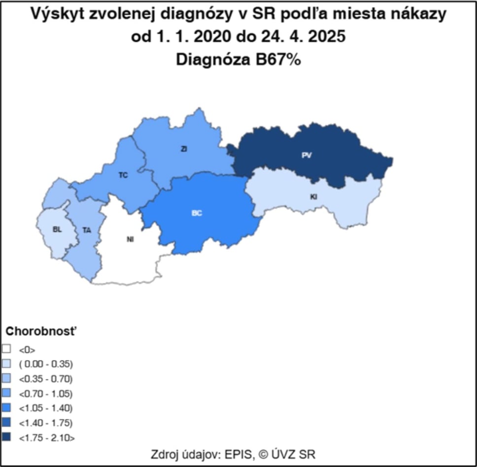 V lesoch aj na