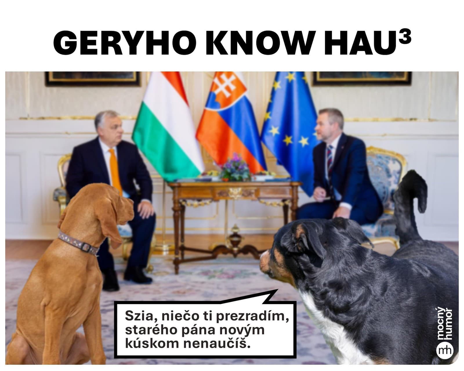 Uletená omietka, prilby v