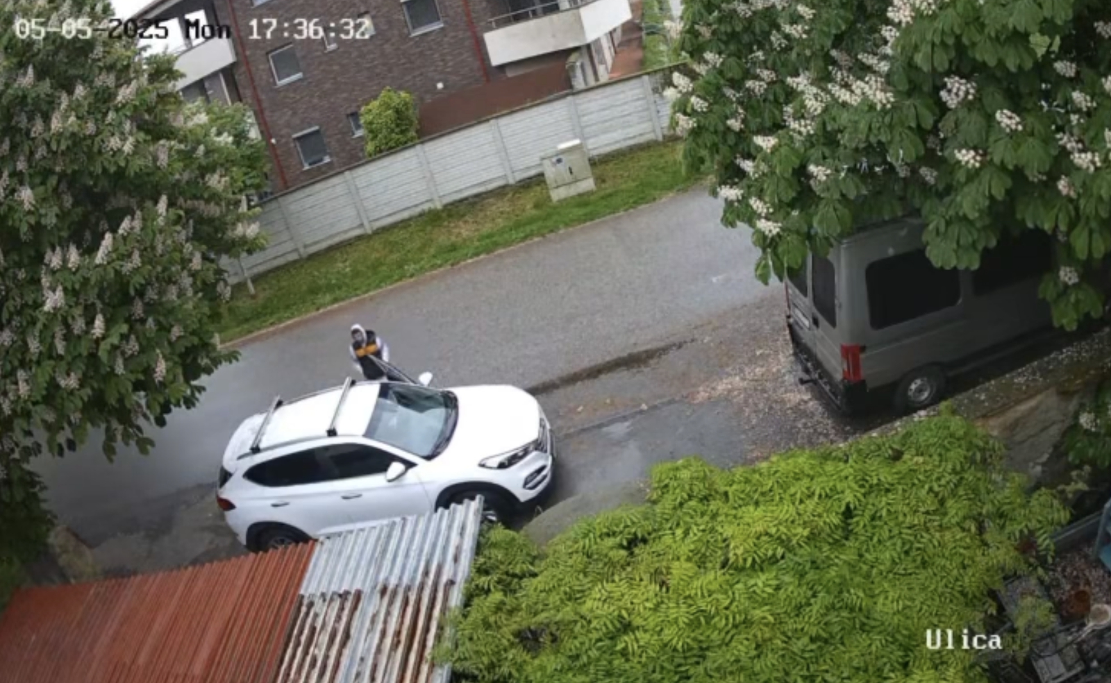 Zlodeji sa zamerali na