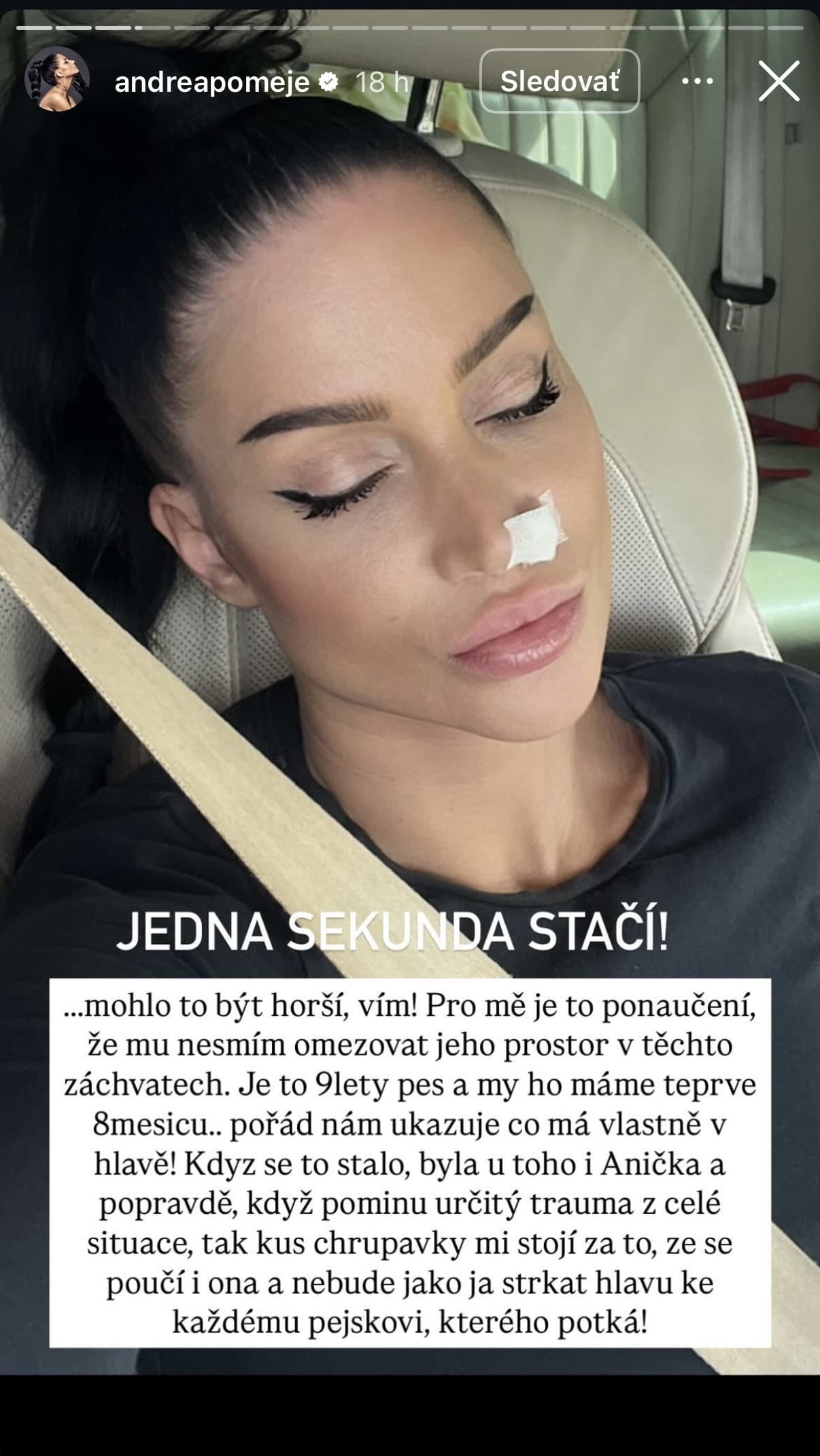 Na vdovu po Pomejem