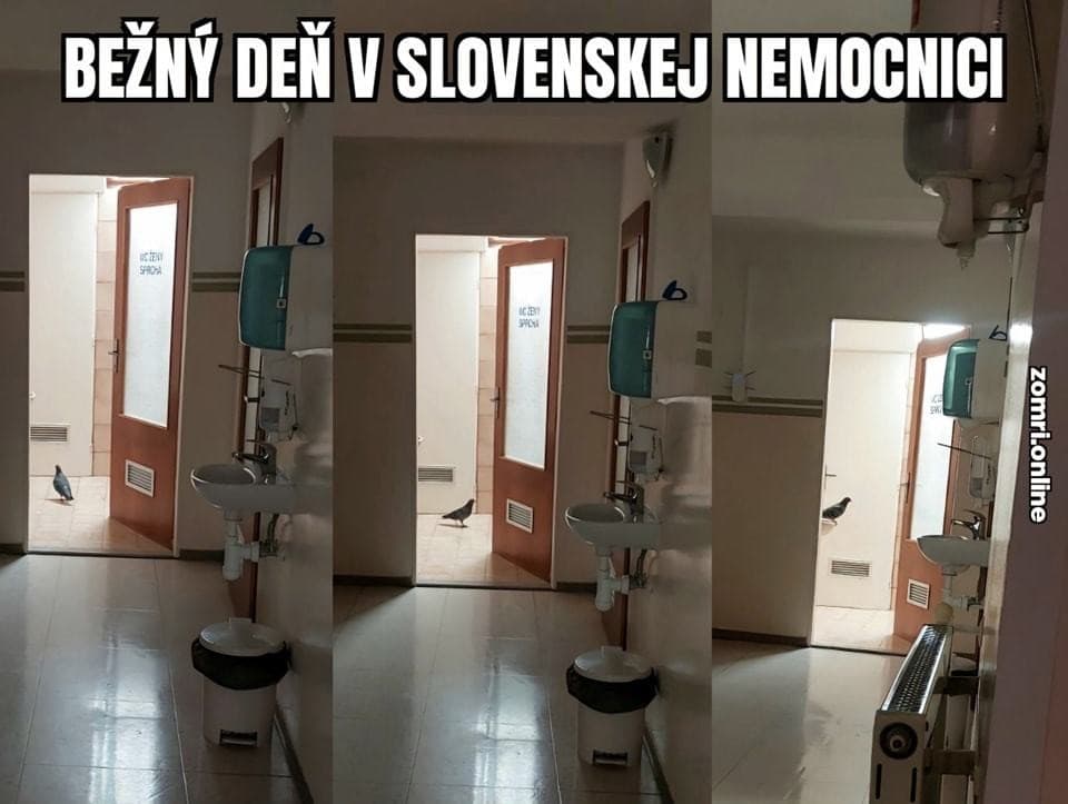 Politici neustále nahrávajú vtipkárom