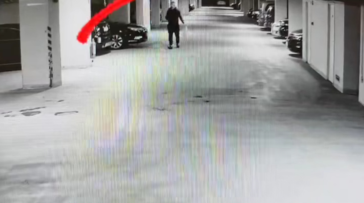 Usmažená Tesla v petržalskej