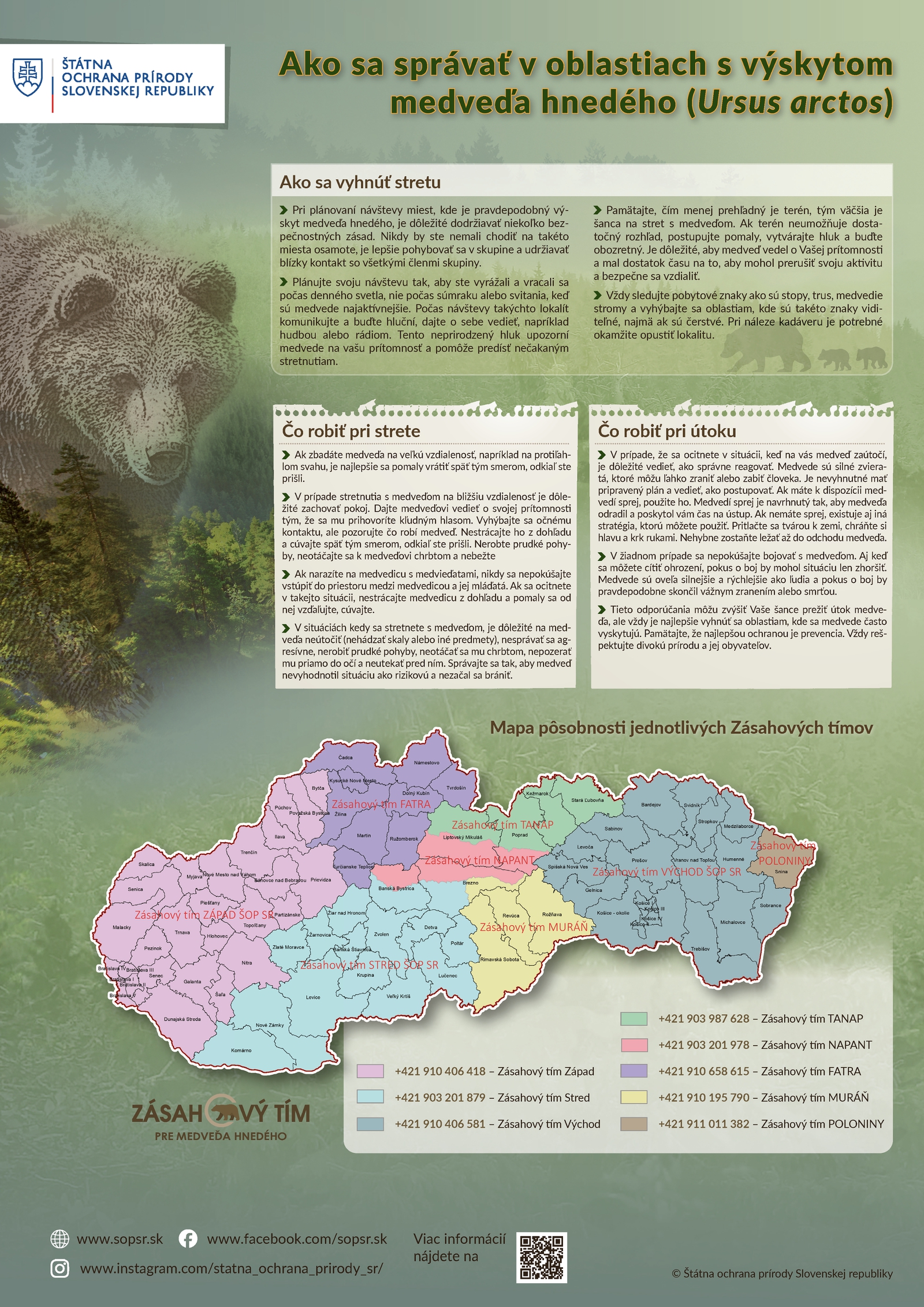 Medvede na Slovensku: Kde