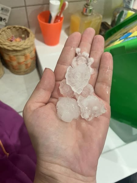 Jedny z naejväčších krúp, ktoré padli v Česku