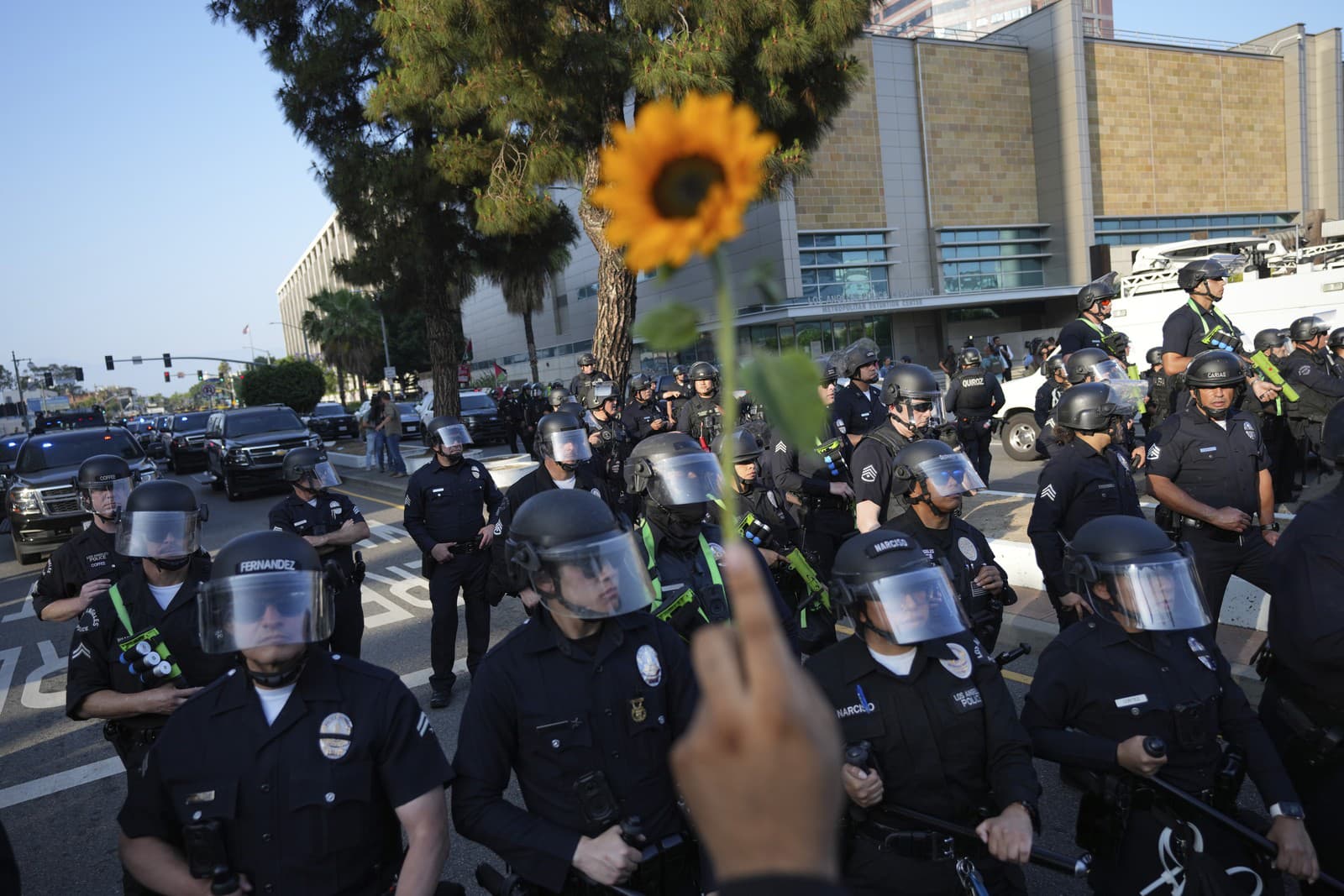 Protesty v Los Angeles