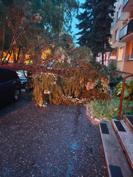 Búrková SKAZA: VIDEO Polámané