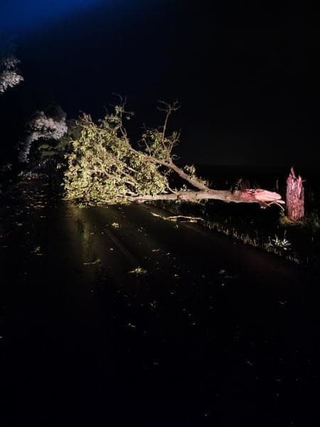 Búrková SKAZA: VIDEO Polámané