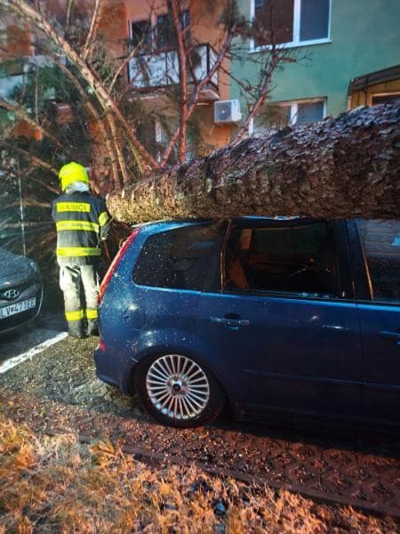 Búrková SKAZA: VIDEO Polámané