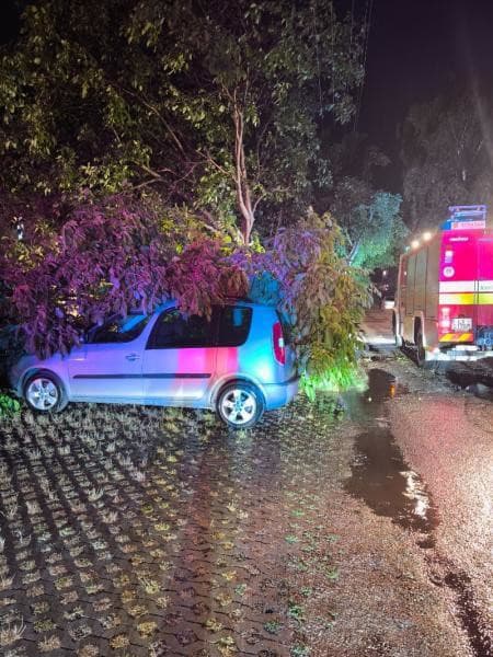 Búrková SKAZA: VIDEO Polámané