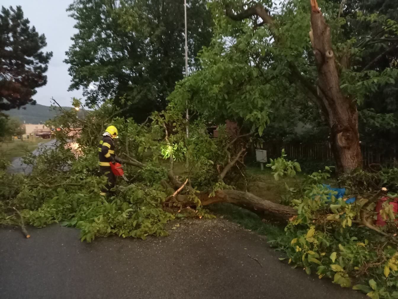 Búrková SKAZA: VIDEO Polámané
