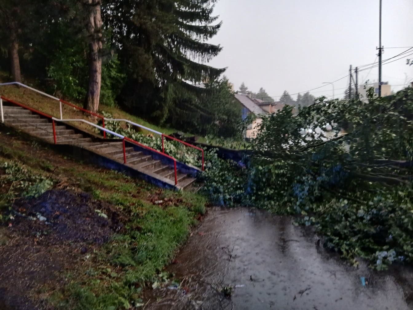 Búrková SKAZA: VIDEO Polámané