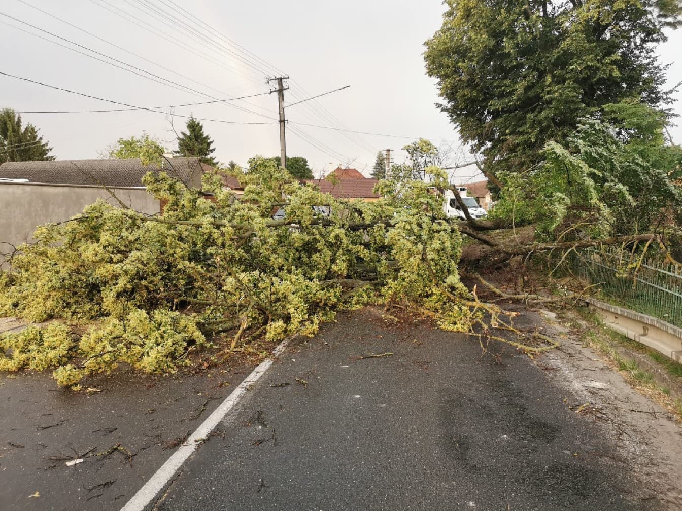 Búrková SKAZA: VIDEO Polámané