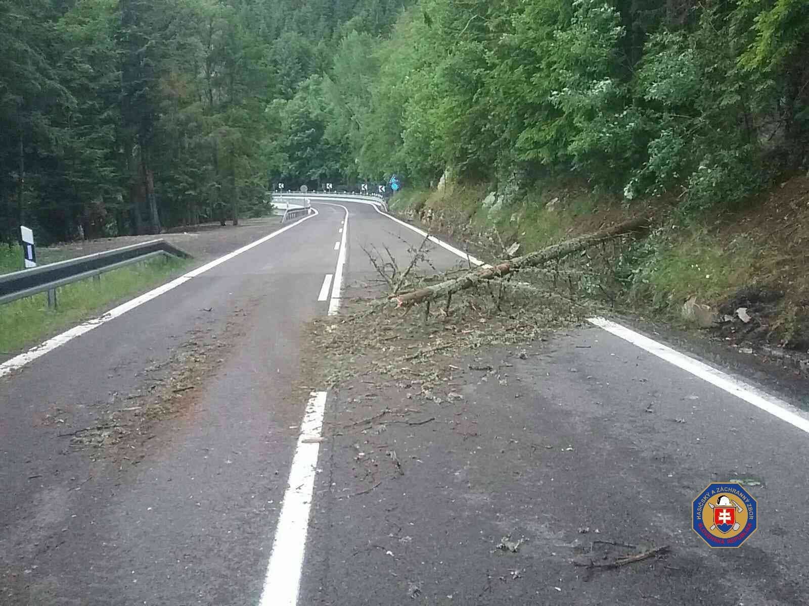 Búrková SKAZA: VIDEO Polámané