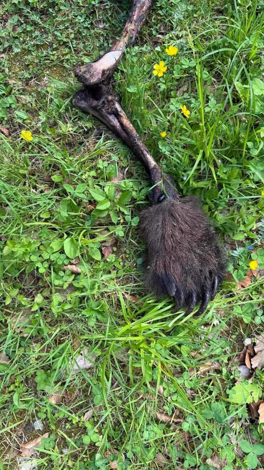 Hrozný nález na Liptove: