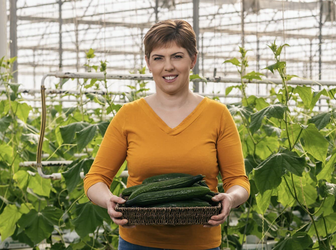 Katarína Asztalosová so sestrou Alžbetou pestujú slovenské uhorky už dvadsať rokov