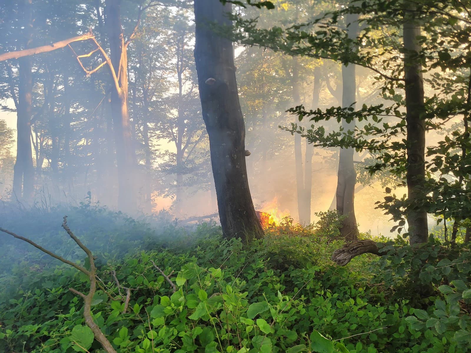Na hraniciach s Poľskom