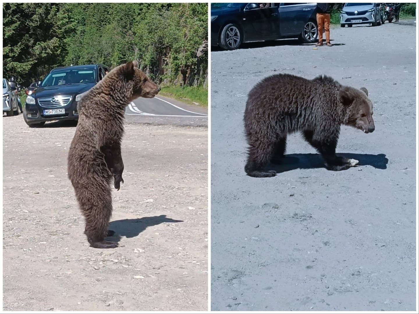 Posledné Omarove zábery