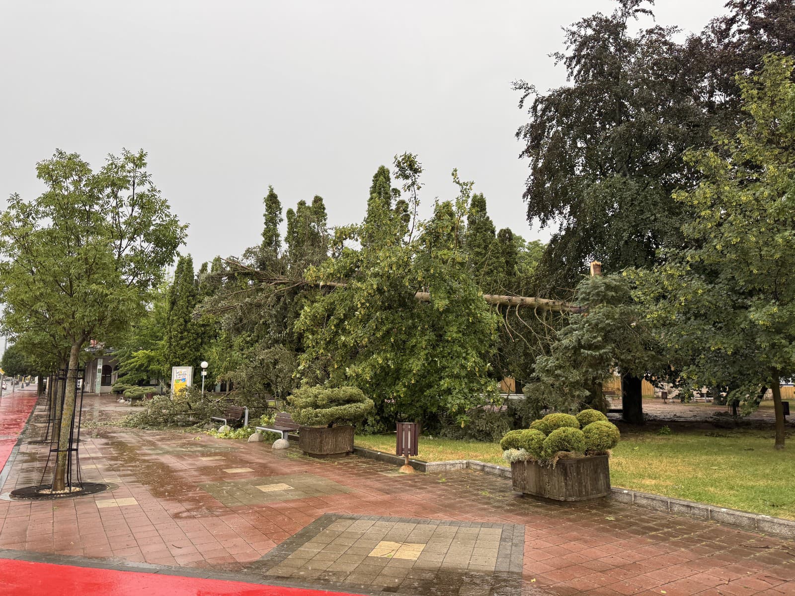 Vo Svidníku odstraňujú následky búrky, ktorá sa prehnala mestom.