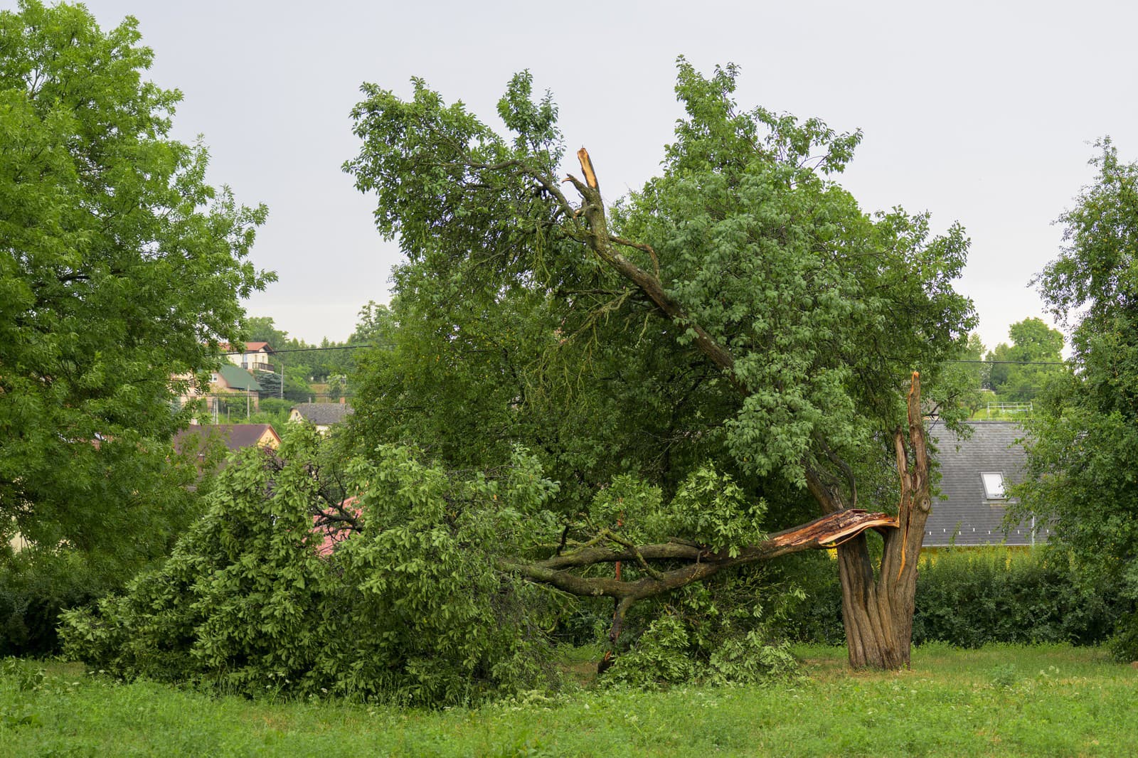Mesto Prešov vyhlásilo po búrke mimoriadnu situáciu.