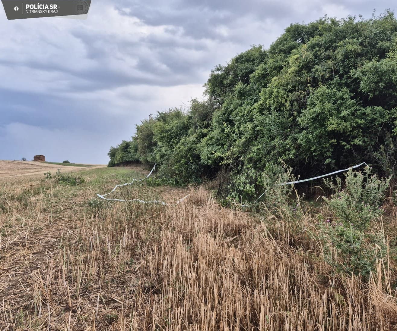 ŠOKUJÚCI nález na poli