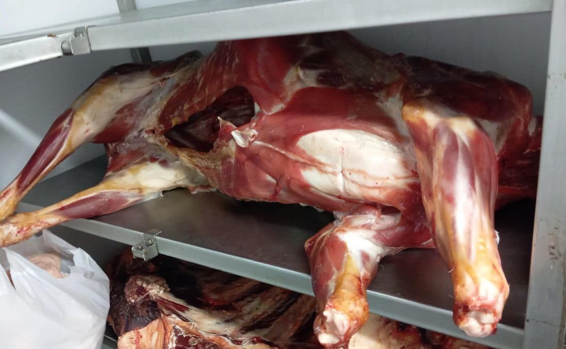 OTRASNÝ nález inšpekcie v