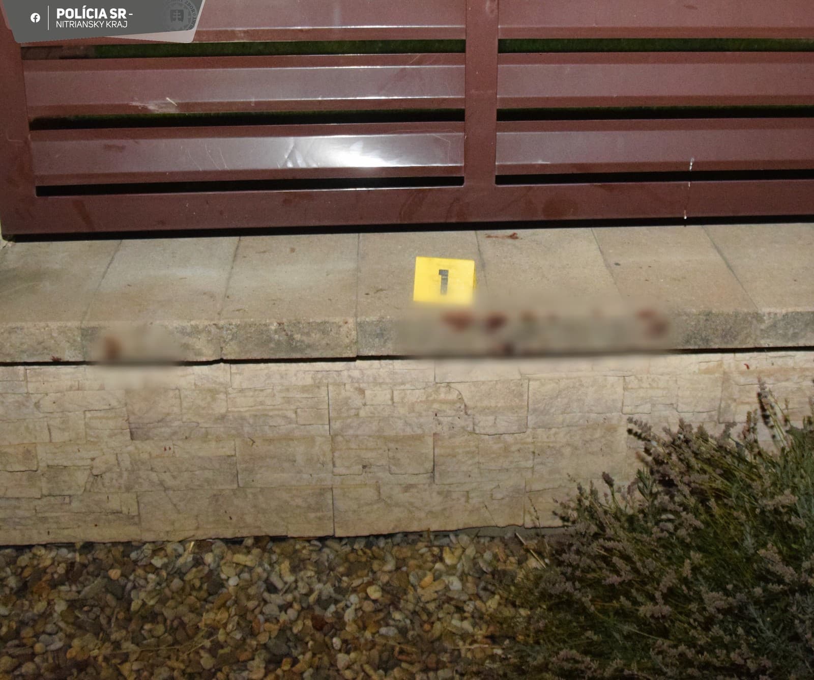 BRUTÁLNY útok psa pri