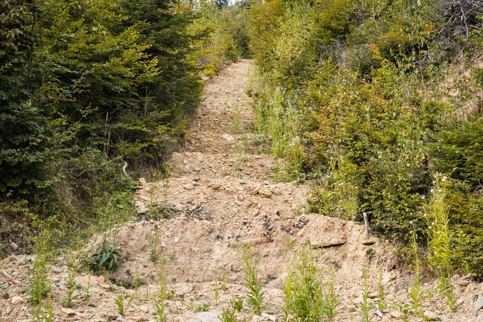 Šéf projektantov o biodiverzite: