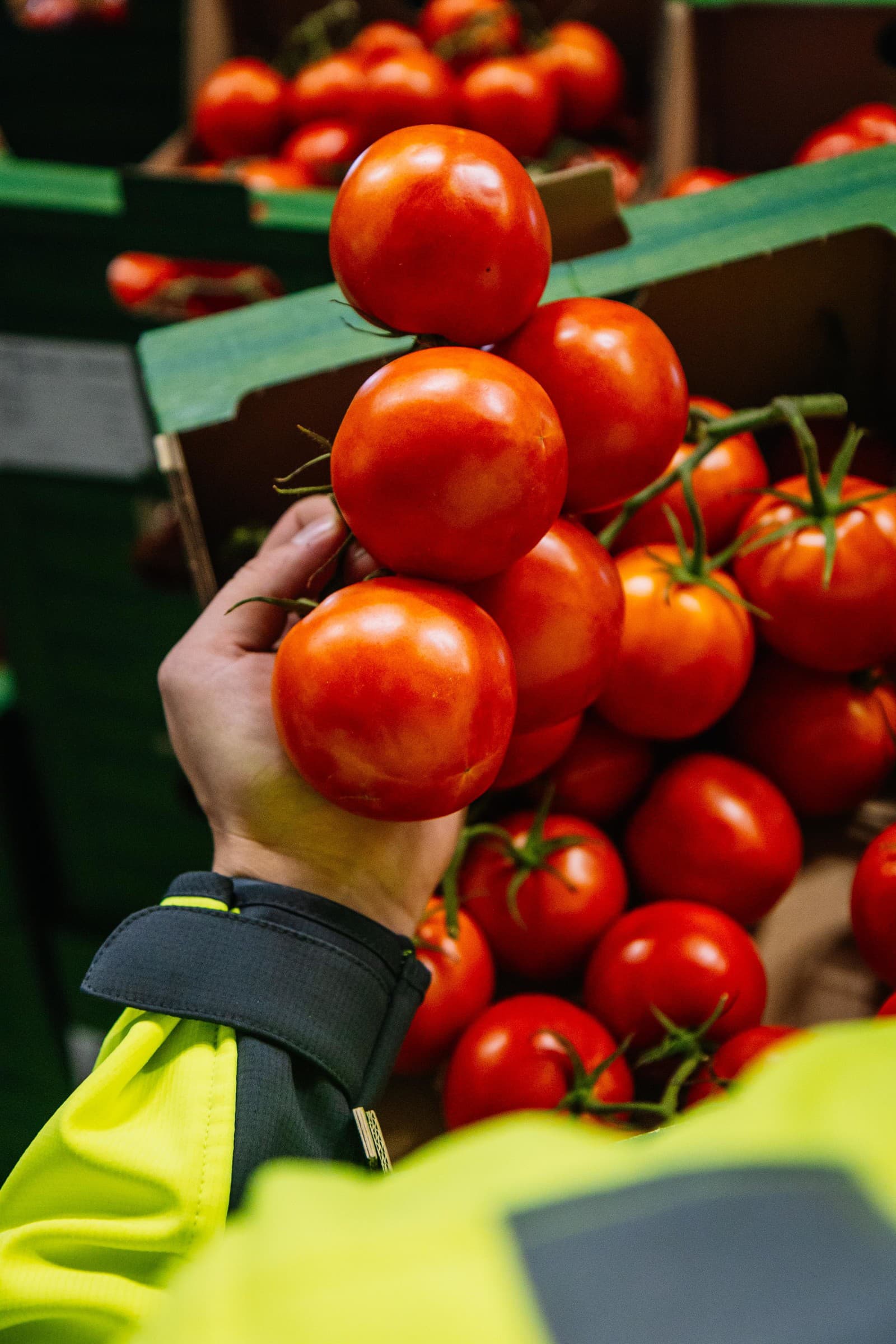 V Lidli nakupujete bez