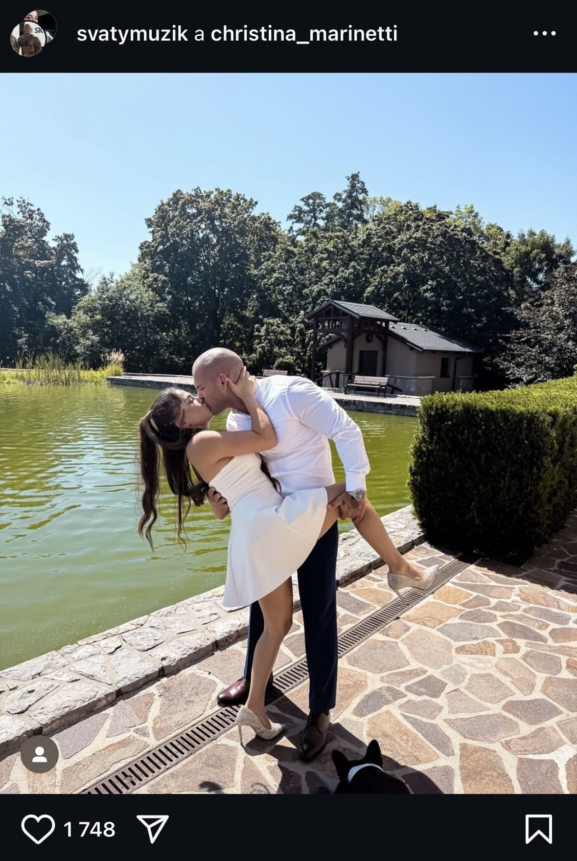 ZBITÁ hviezda Ruže sa