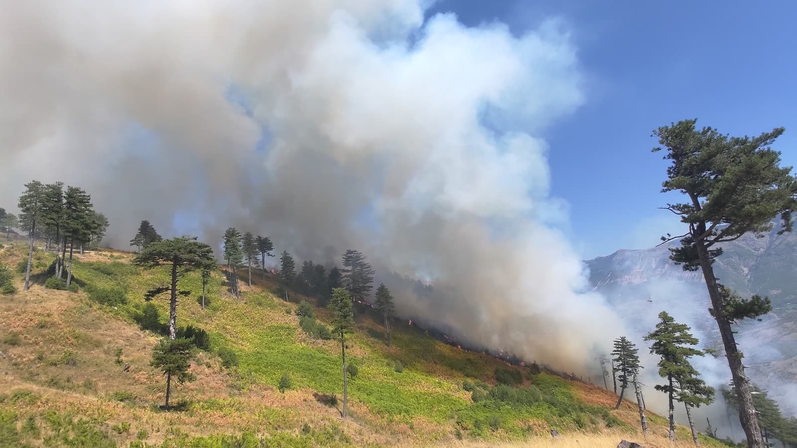 Slovenskí hasiči bojujú s