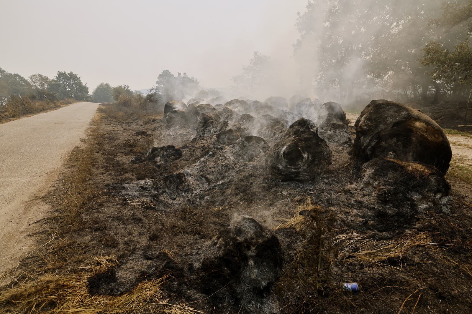 Lesné požiare v Španielsku