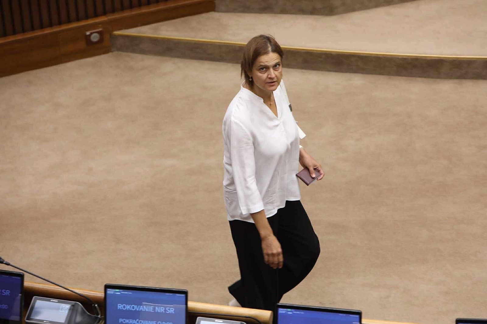 Schôdzu k odvolaniu Šaška