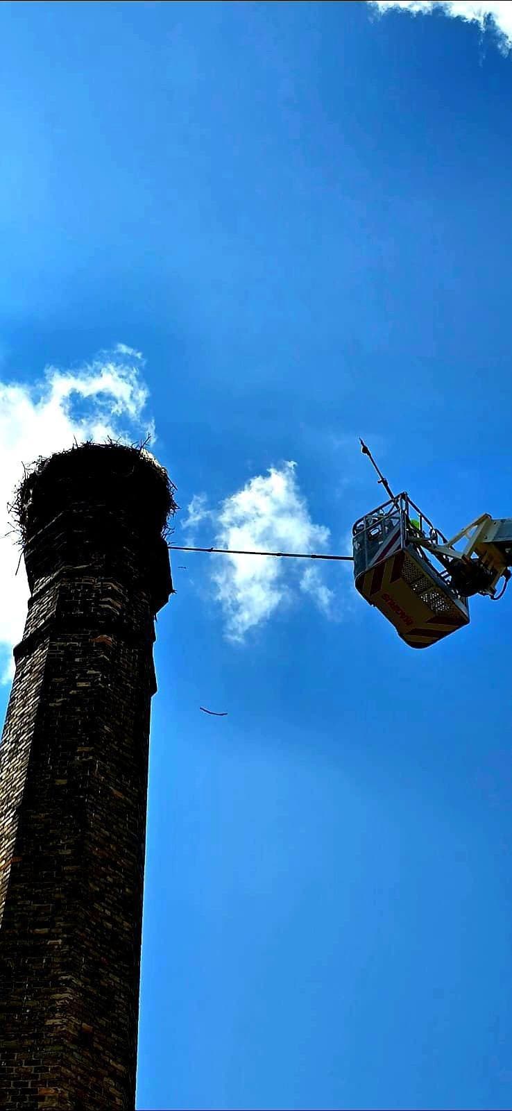 Hasiči pomohli zachrániť bociana v Piešťanoch