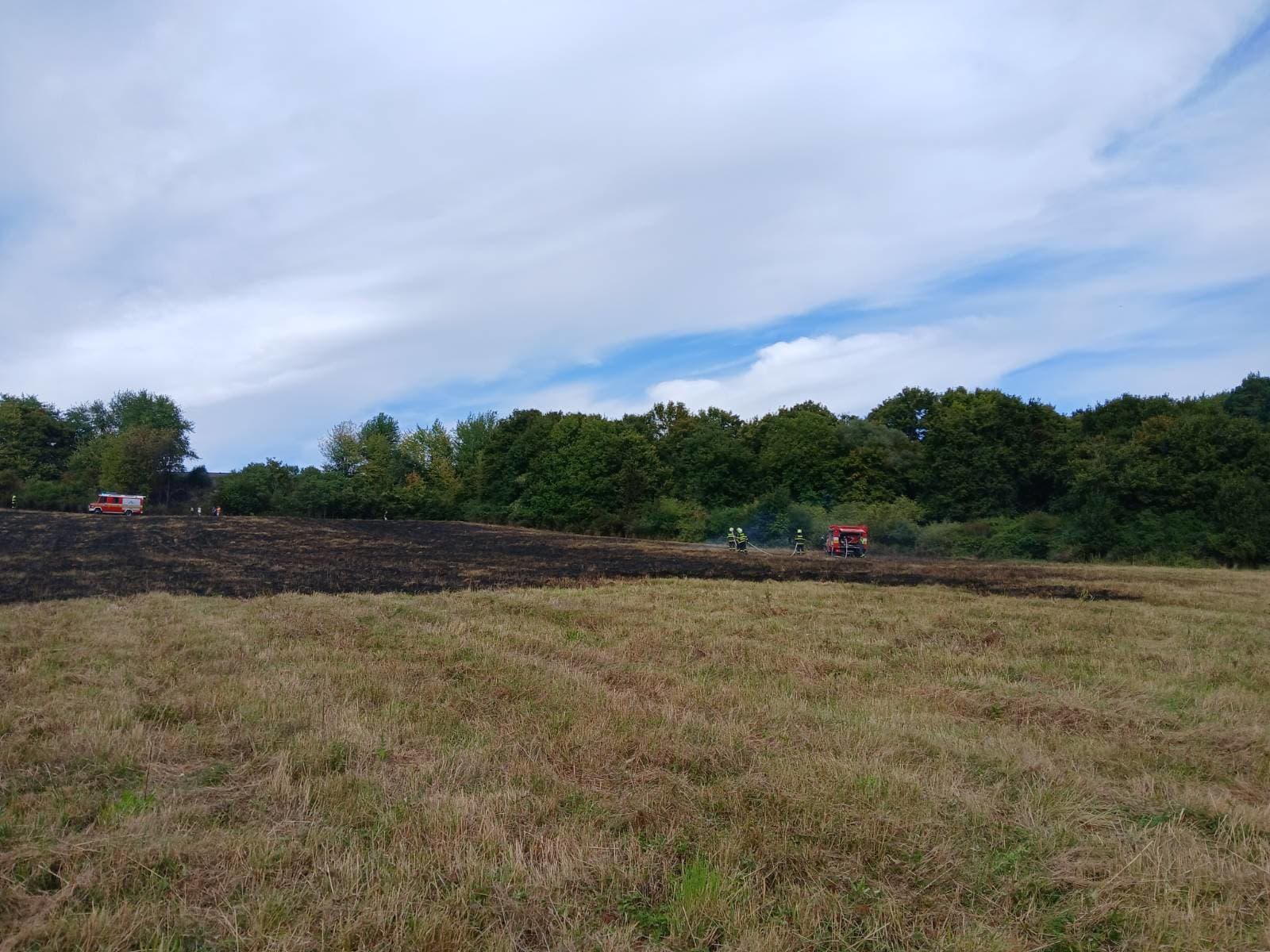 Deväť profesionálnych hasičov z Myjavy a z Nového Mesta nad Váhom s piatimi kusmi techniky zasahovalo pri požiari lúky popri železničnej trati v katastri mesta Stará Turá