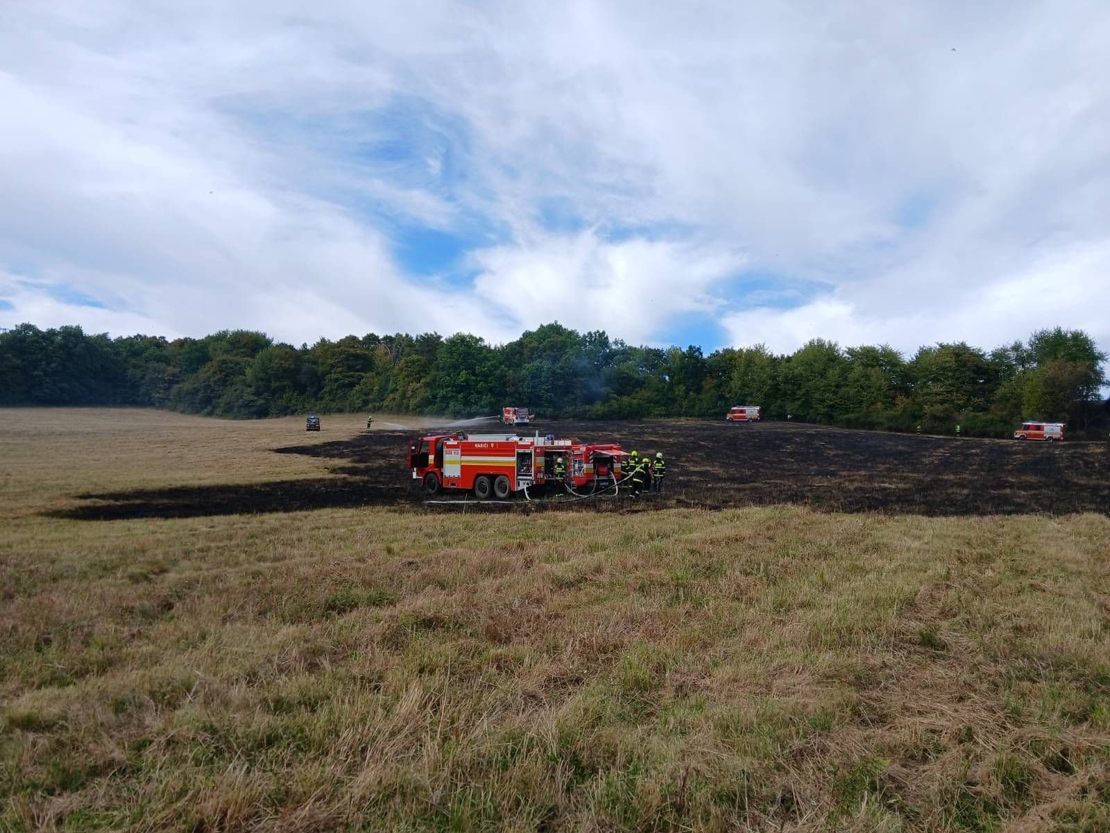 Deväť profesionálnych hasičov z Myjavy a z Nového Mesta nad Váhom s piatimi kusmi techniky zasahovalo pri požiari lúky popri železničnej trati v katastri mesta Stará Turá