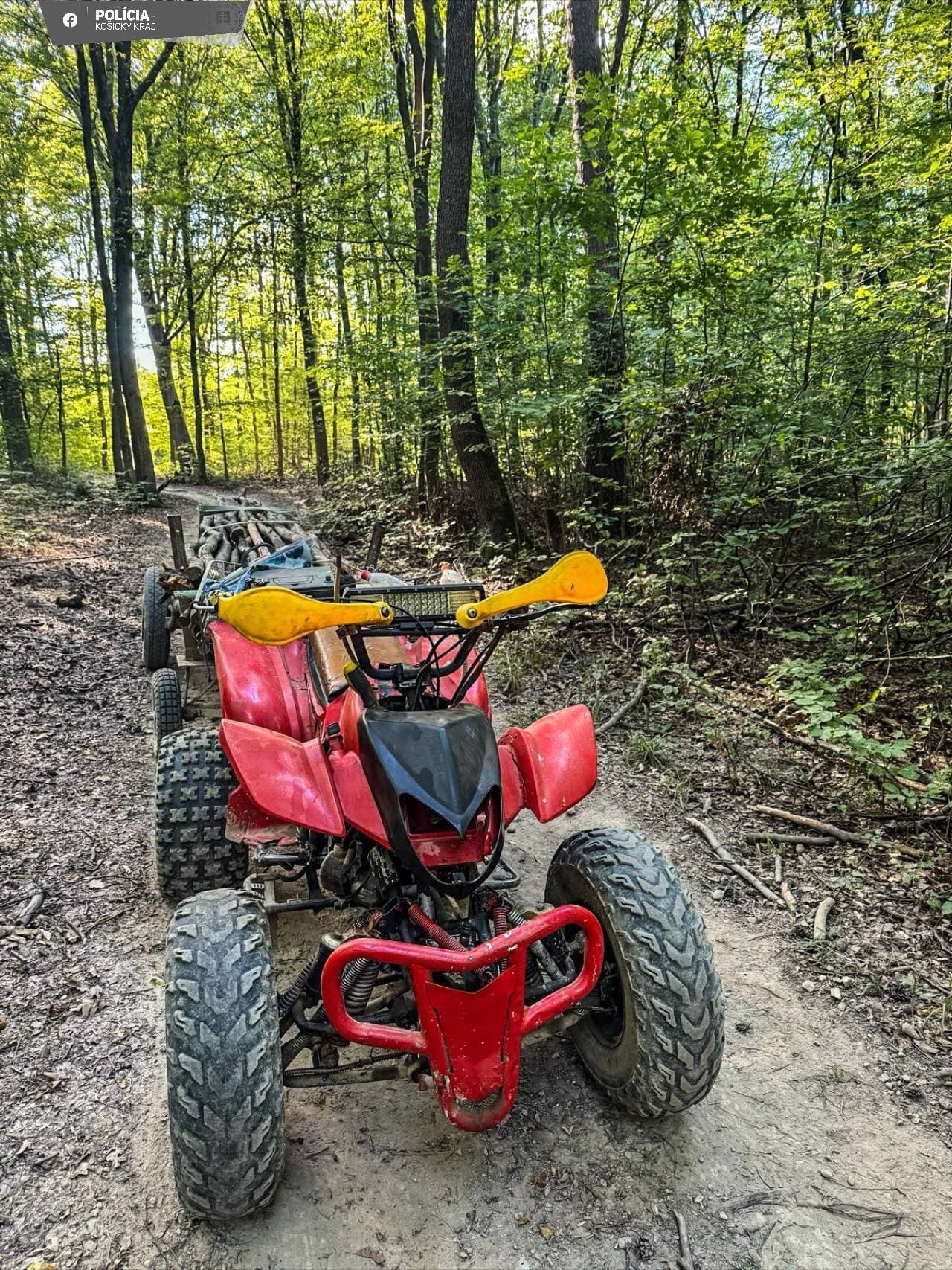 krádež dreva v lese pri Košiciach