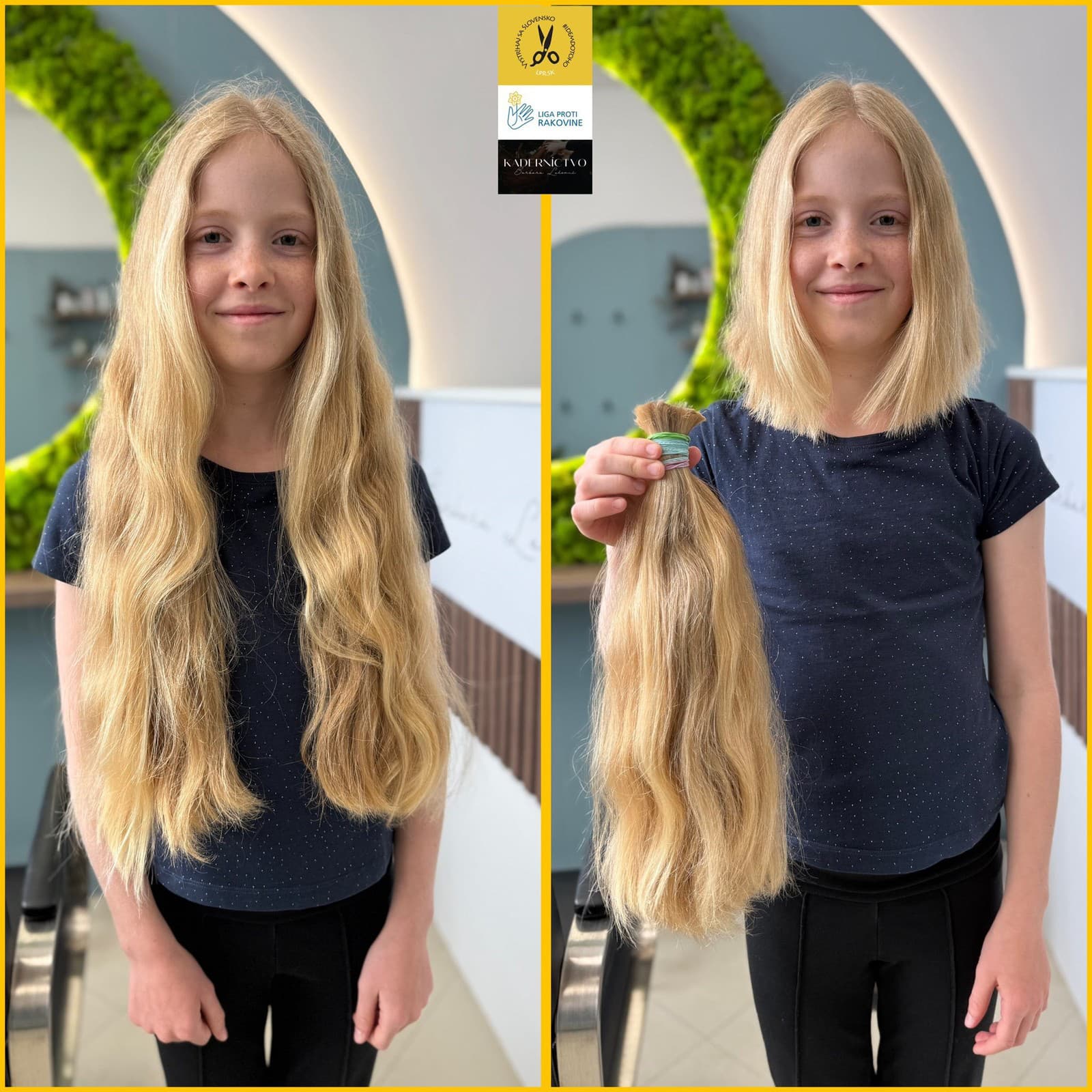 Projekt Vystrihaj sa Slovensko