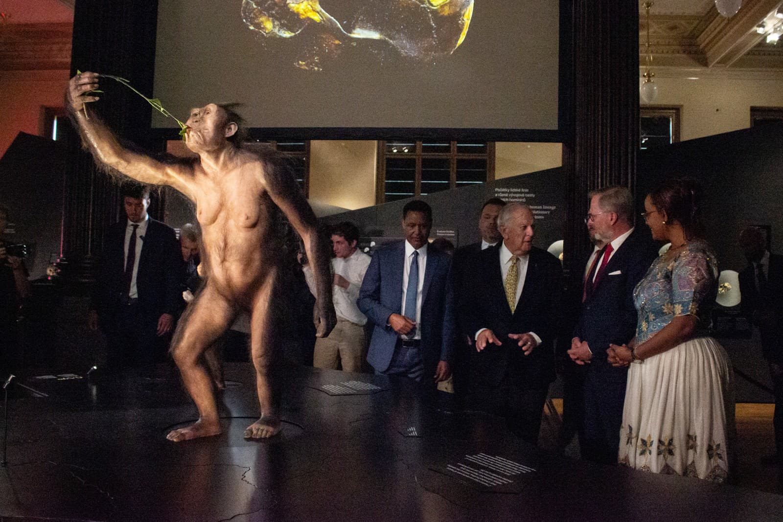 Fosília predchodcu človeka Lucy je už vystavená pre verejnosť v Prahe